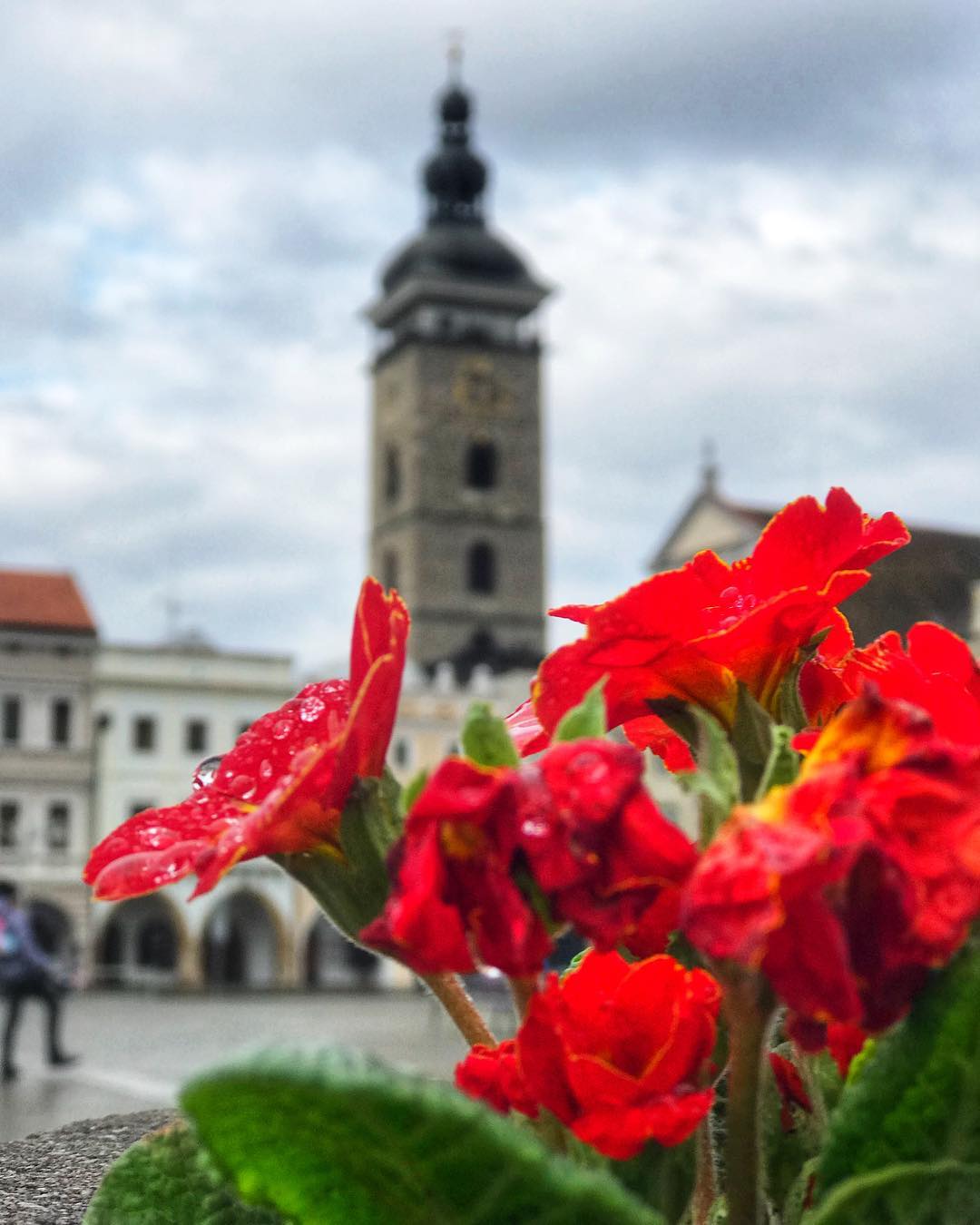 Černá věž po dešti / Black Tower after rain