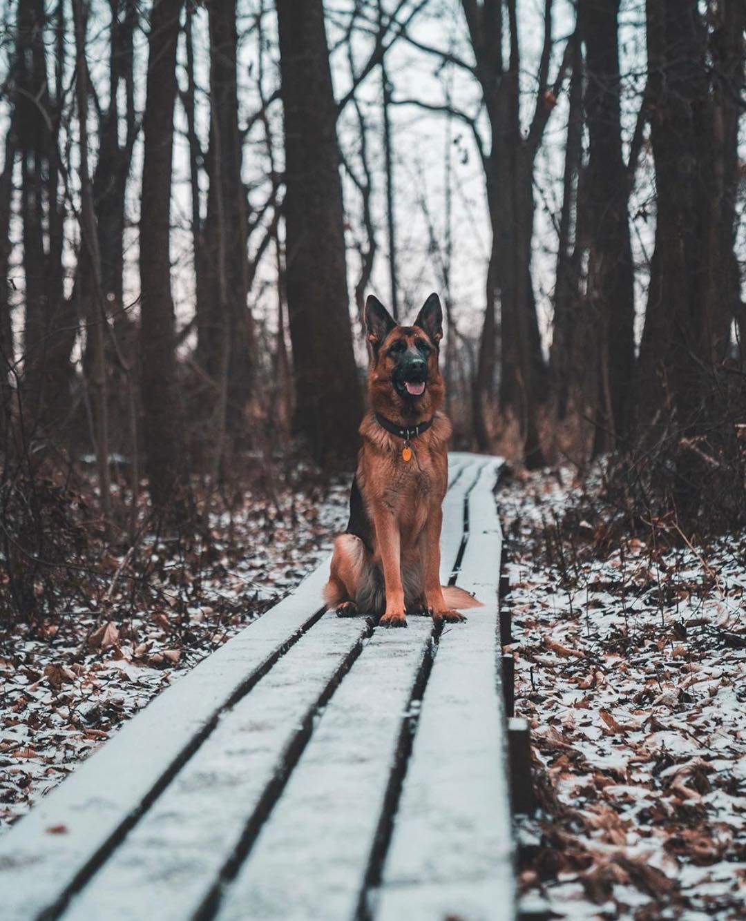 Vrbenské rybníky pro každého