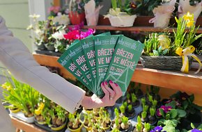 Kulturní měsíčník - Březen ve městě