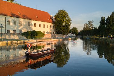 Tips for trips