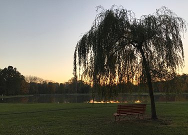 Stromovka Park
