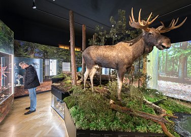 Jihočeské muzeum v Českých Budějovicích