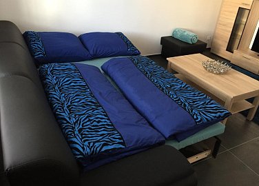 Apartment Budweis