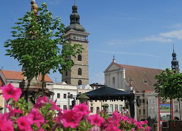 Sommer in der Stadt 2024