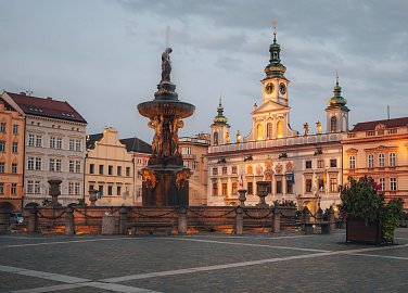 Guided tour of the town hall