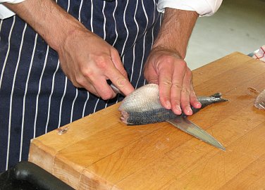 Gastrofest