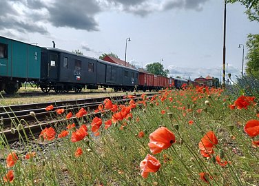 505597132 1214017390523171 949846625483939864 n