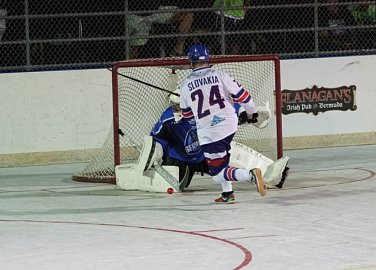 MS v hokejbale v kategorii Masters- ZRUŠENO!!!
