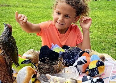 027469E1 8490 4836 A30D 67D5D17C285B 1 105 c