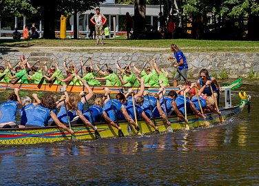 Dragons Between Bridges 2024