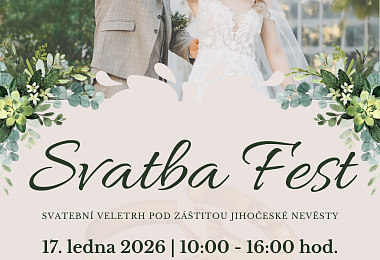 Plakát Svatba fest