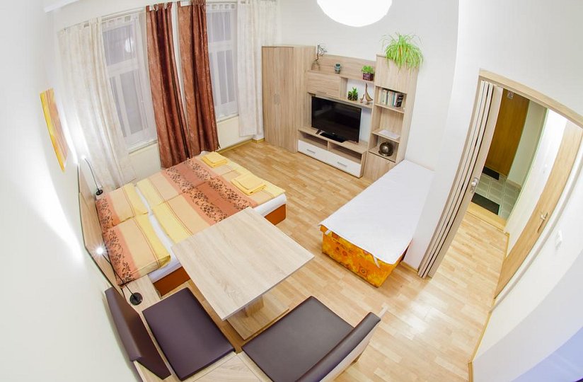 Central Penzion Apartments Smetanka