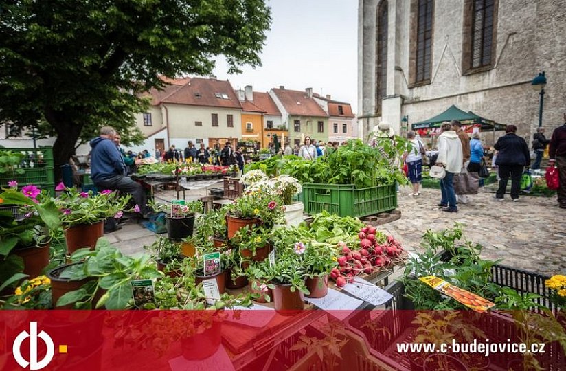 Přesun tradičních farmářských trhů na Piarisťáku