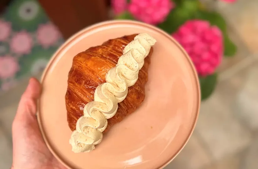 Plachá Pětadvacítka