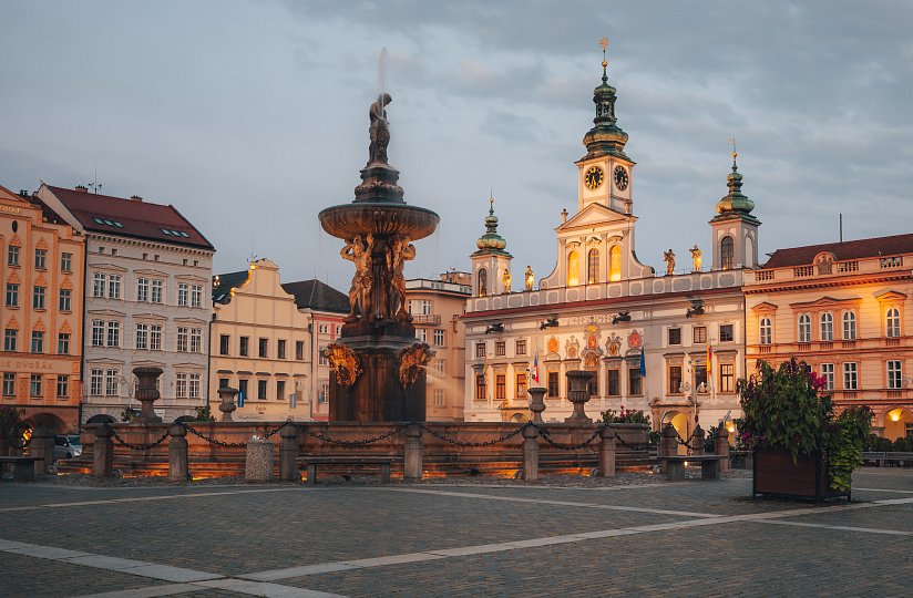 Guided tour of the town hall