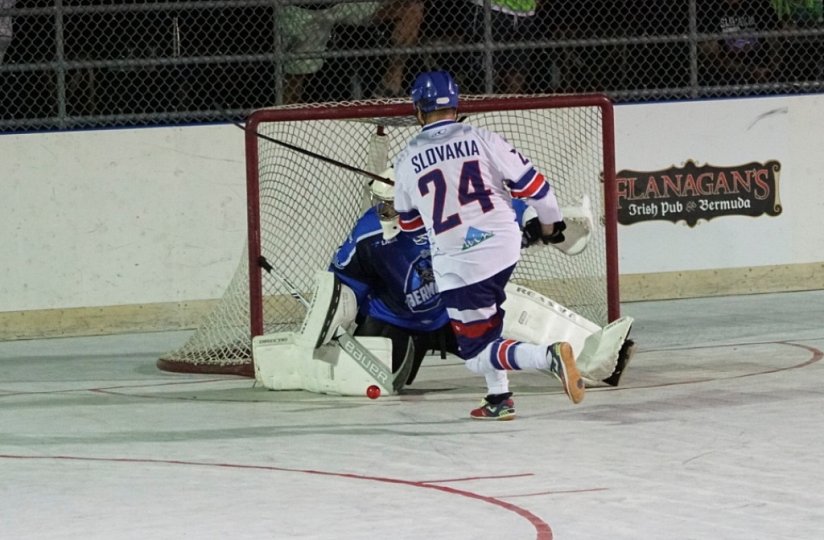 MS v hokejbale v kategorii Masters- ZRUŠENO!!!