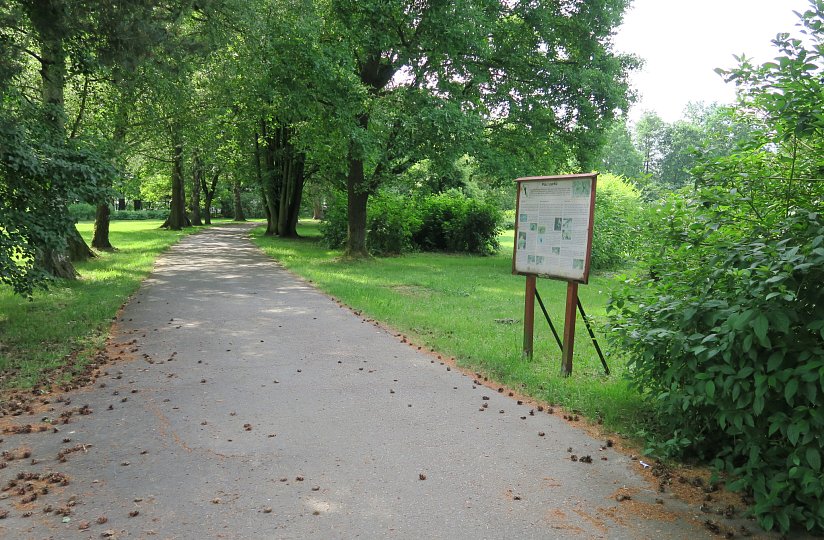 City Centre Educational Trail
