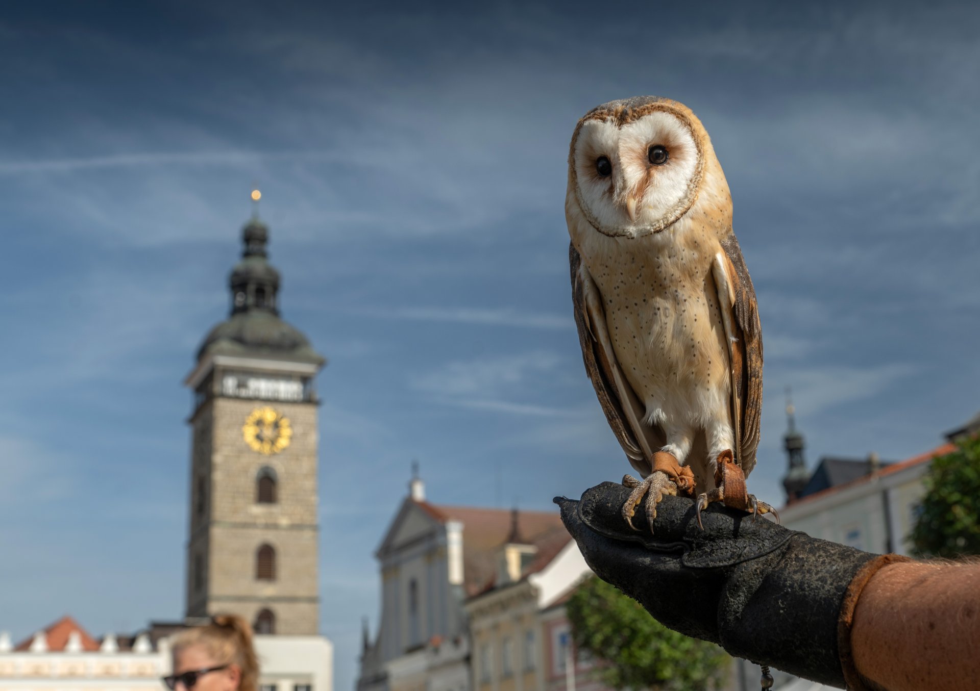 České Budějovice - V barvách podzimu