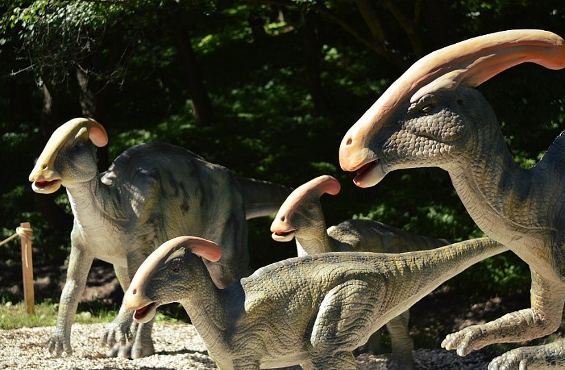 Mláďata z dinoparku