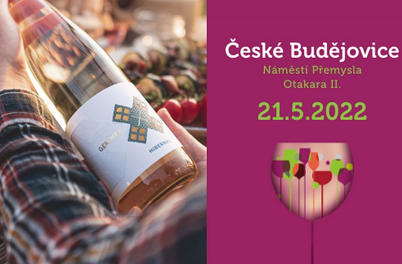 Vinný košt & festival chutí v Českých Budějovicích
